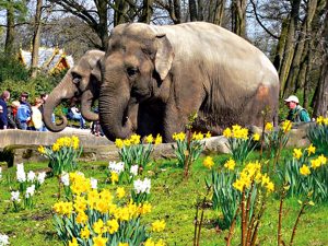 Ostererlebnis im Tierpark Hagenbeck